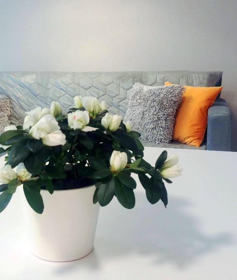 Bel Mare Wyspa, Apartament Z Parkingiem Gratis Miedzyzdroje Exteriér fotografie
